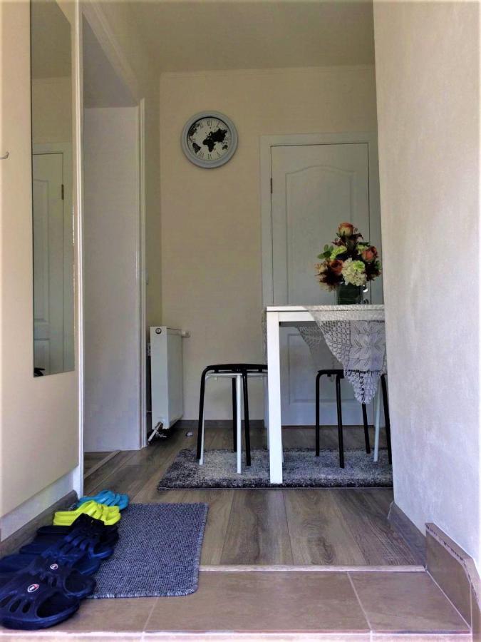 Warm Studio Sibiu Exteriör bild
