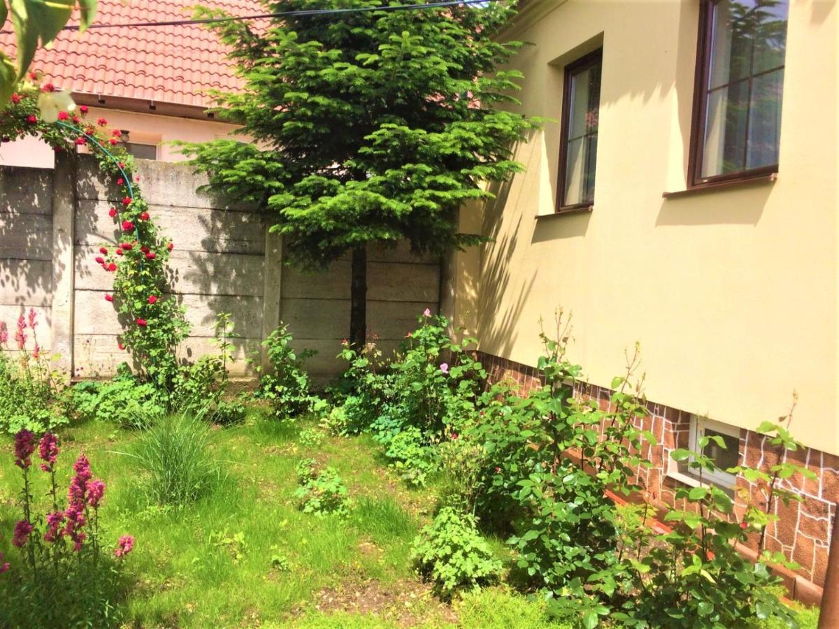 Warm Studio Sibiu Exteriör bild